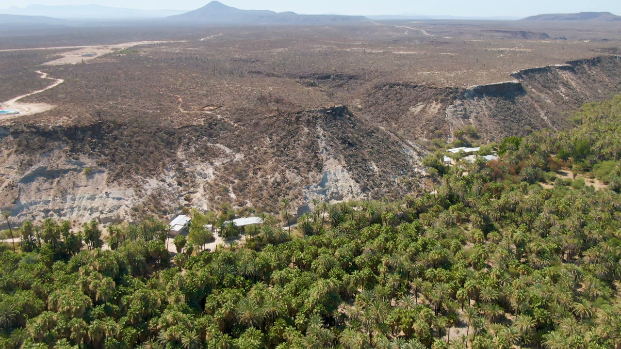 At 0:00, an aerial view over San Ignacio, Baja California Sur shows dense green palm cover below pale eroded ridges, scrub desert, distant mesas, and no visible people.