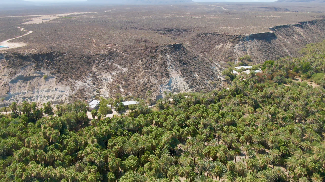 Aerial view of a palm-filled oasis beside steep desert slopes and scattered light roofs.