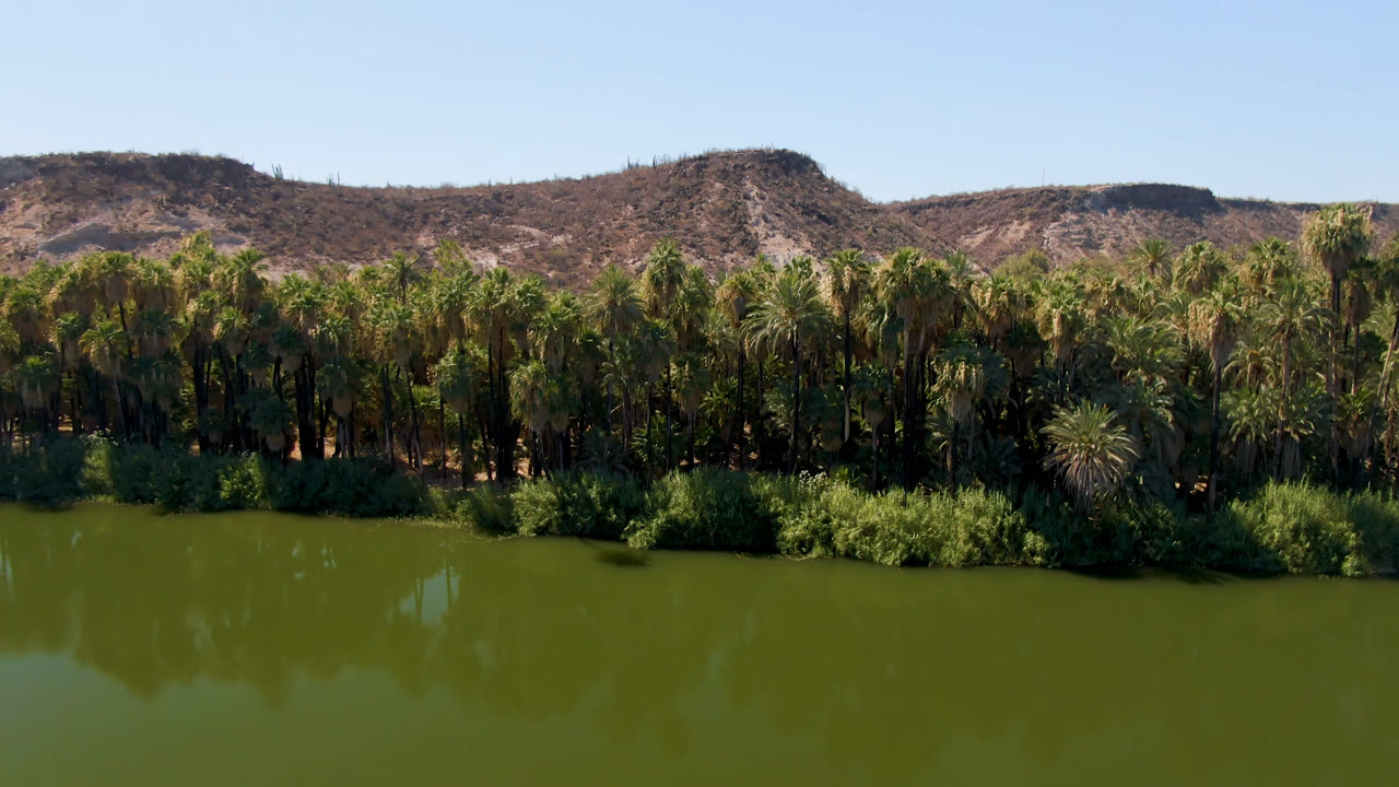 Still green river surface reflecting a palm-lined bank and brown hills.