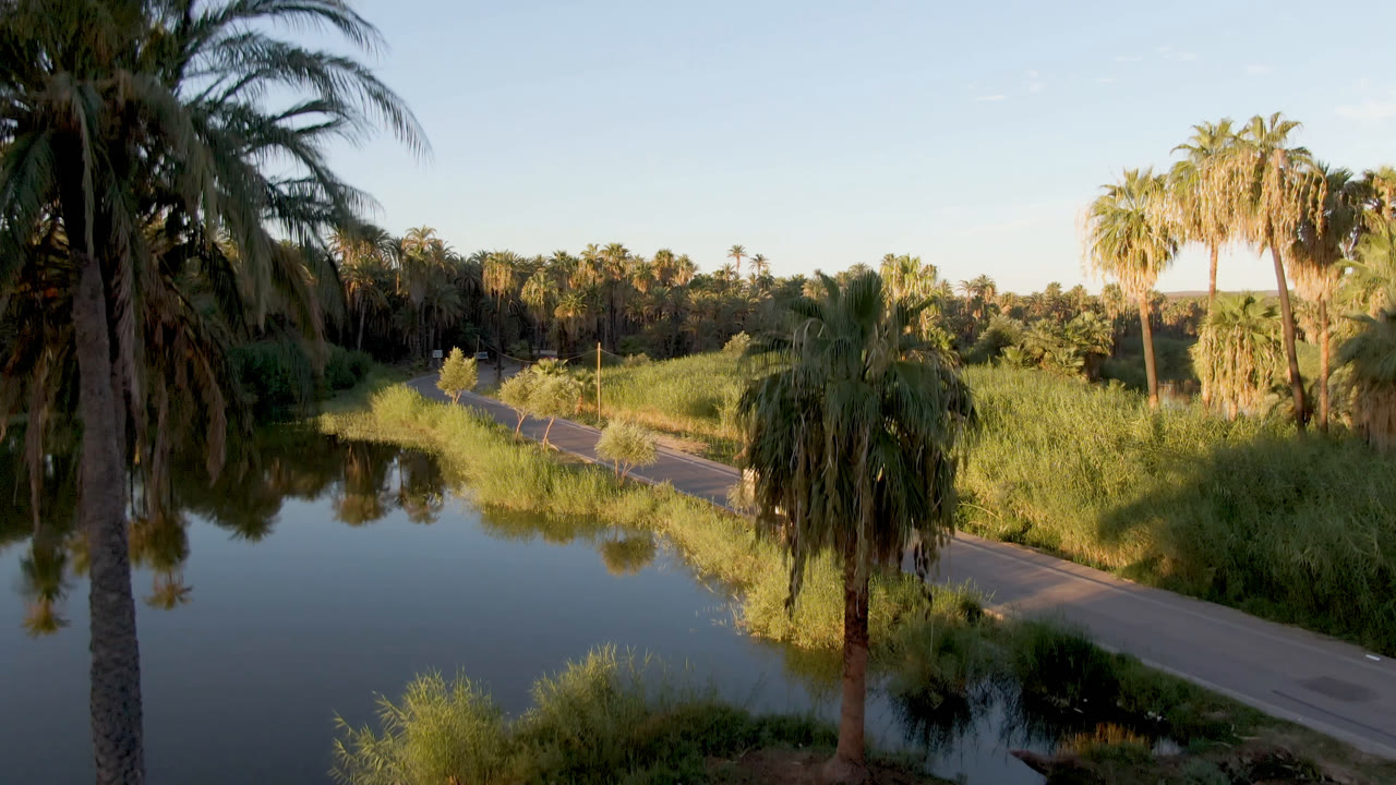 Elevated view of palm trees, dark river water, tall grass, and a paved road in San Ignacio, Baja California Sur, with no visible people.