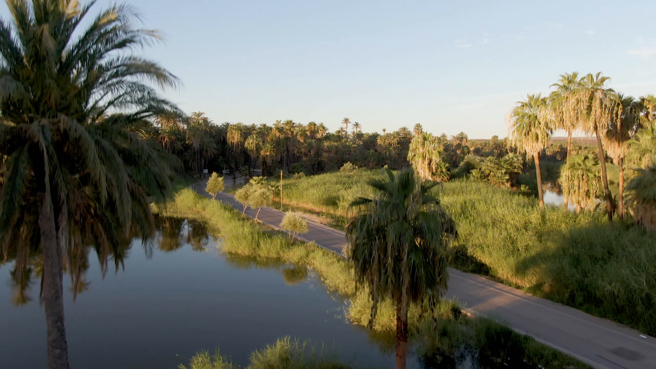 A wider elevated frame in San Ignacio shows the river curving past palms and grasses beside a narrow road, with no visible people.