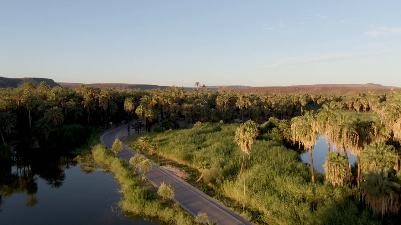 Aerial frame over San Ignacio, Baja California Sur, showing a curved road beside dark water, tall reeds, palm trees, distant hills, blue sky, and no visible people.