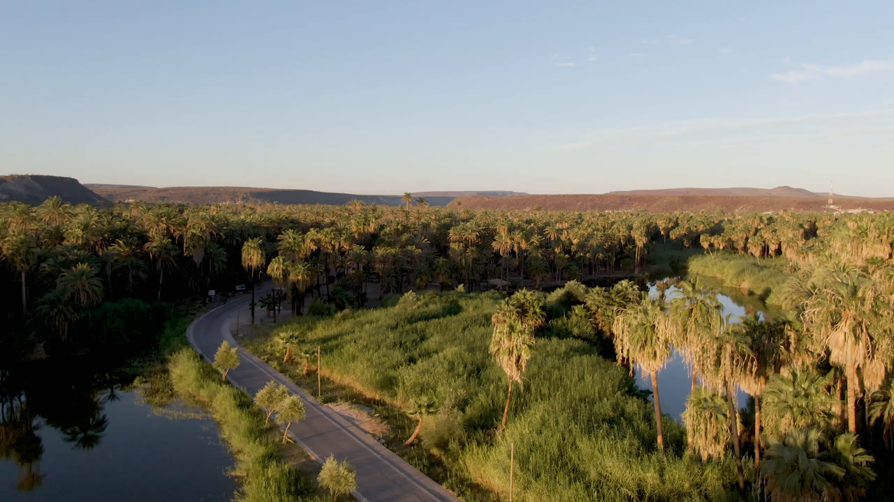 Aerial desert oasis with water at both sides, palms, reeds, road, and horizon hills.