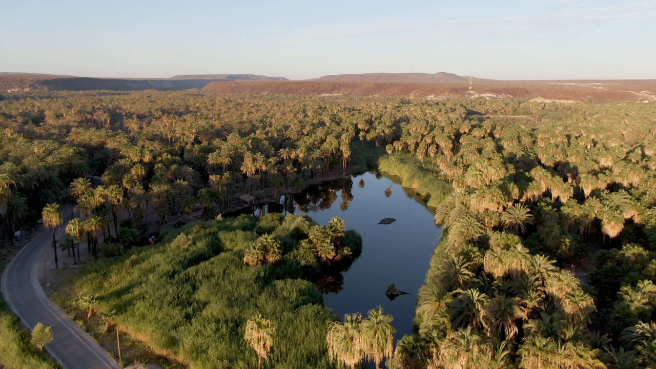Aerial frame over San Ignacio, Baja California Sur, showing dark river water bordered by reeds and palms, a road on the left, distant desert hills, and no visible people.