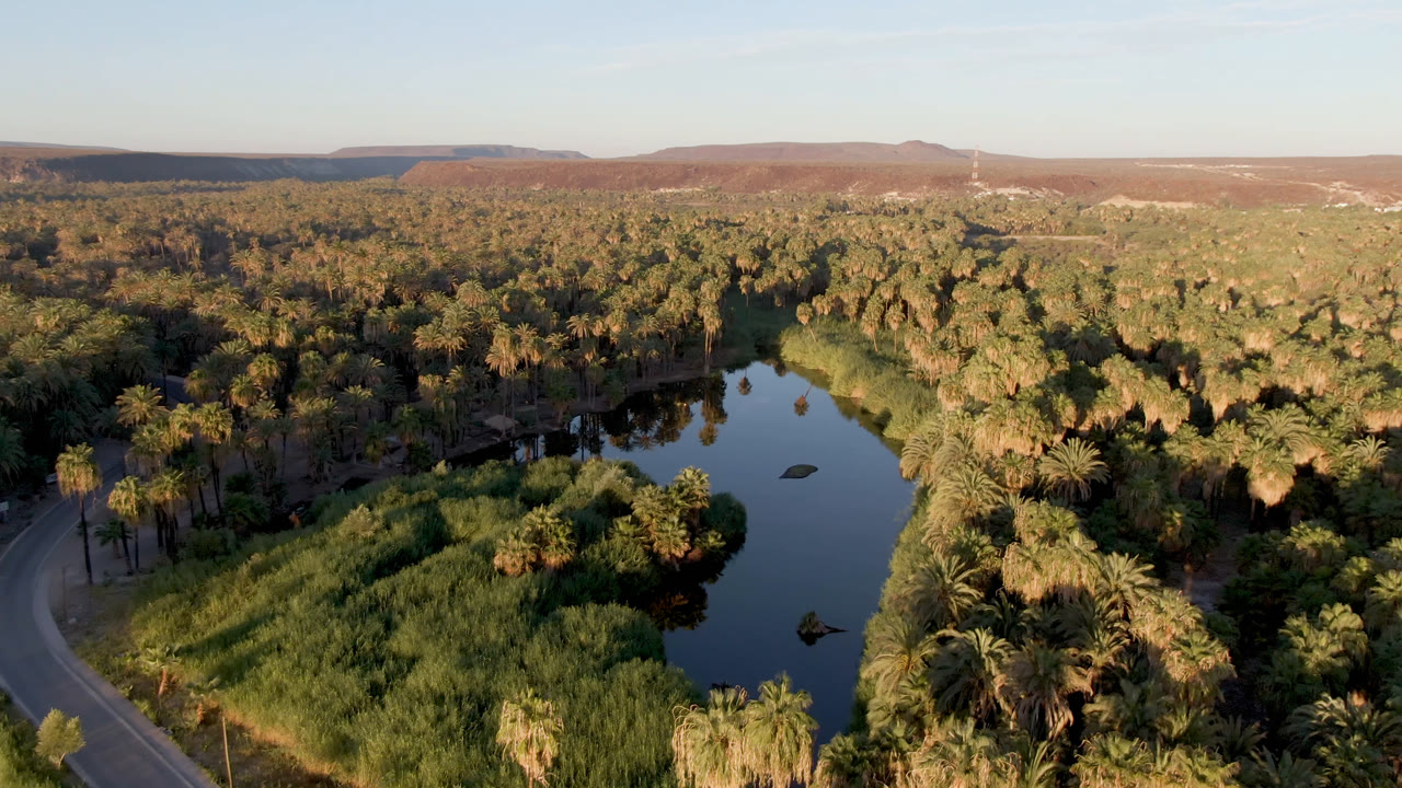 Second frame over San Ignacio shows the road curving along the left side while the palm canopy and reed beds wrap around the dark oasis water, with no visible people.