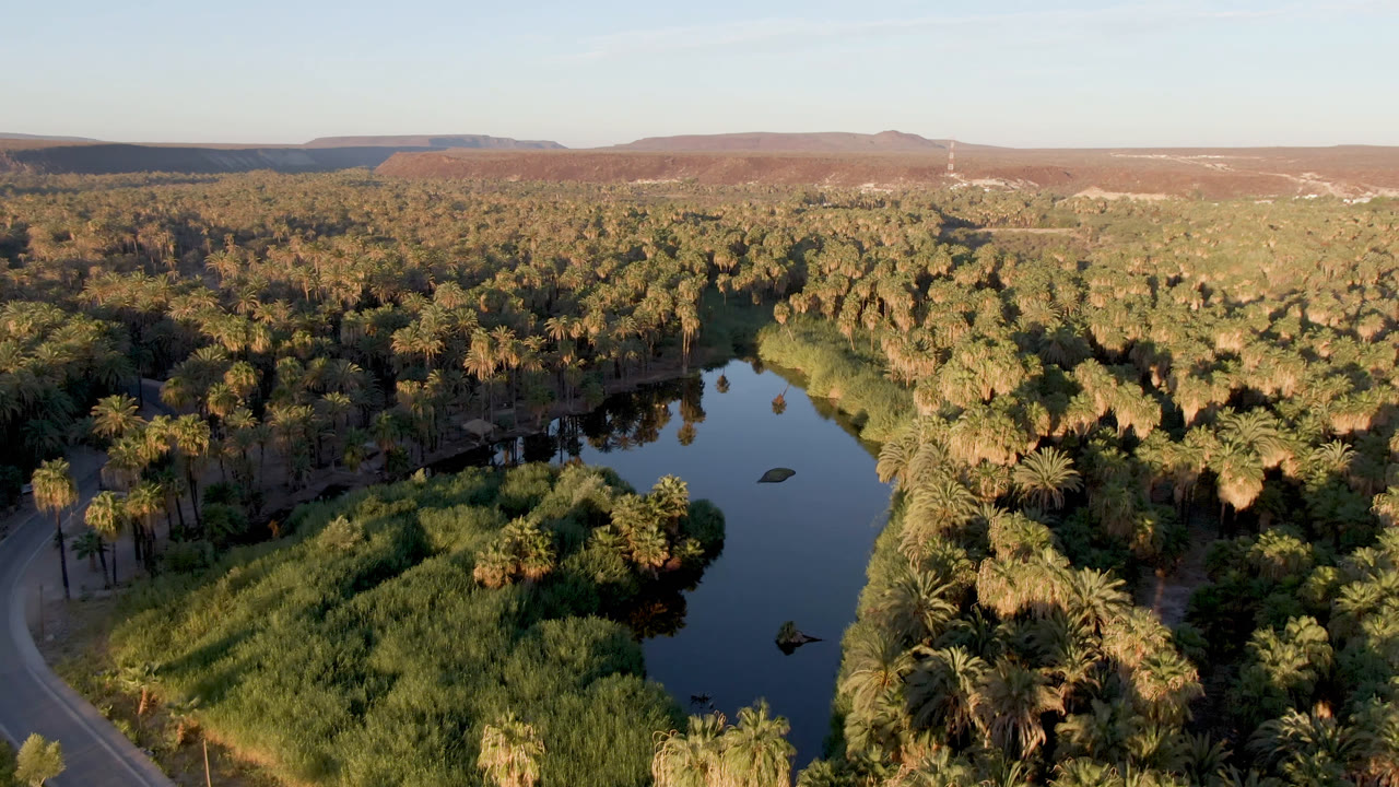 Wide aerial view of a desert oasis with palms, water, reeds, and low hills.