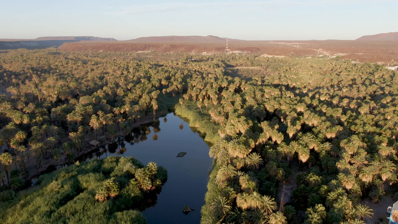 A second aerial moment over the San Ignacio oasis shows the river curving through thick palm growth, with bright tree tops, low hills, blue sky, and no visible people.