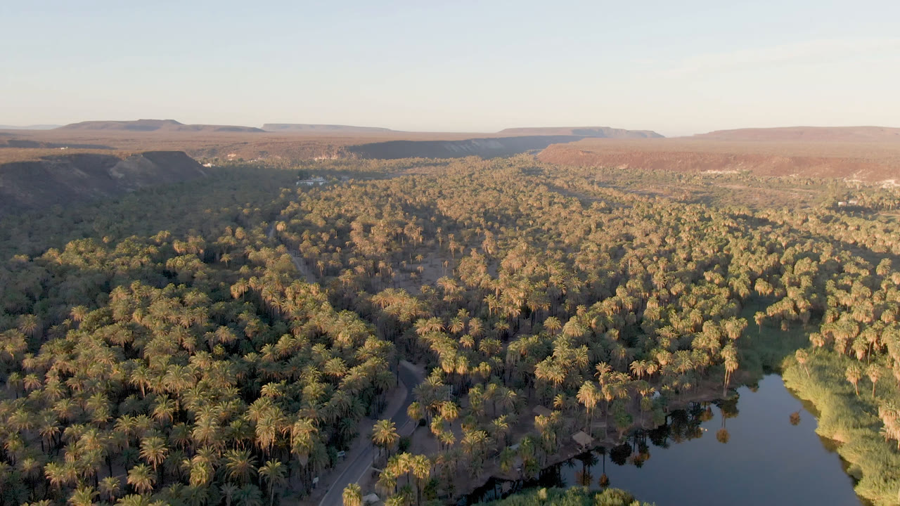Wide drone-like frame of the San Ignacio oasis with reflective water at lower right, dense palms across the center, tan ridges beyond, and no visible people.