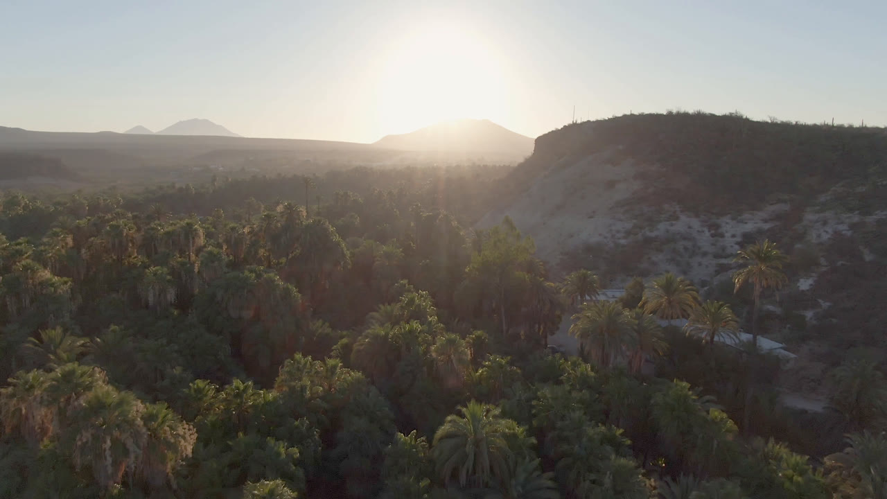 Backlit aerial frame in San Ignacio, Baja California Sur, showing dense palms below a pale hillside, distant mountains, open sky, and no visible people.