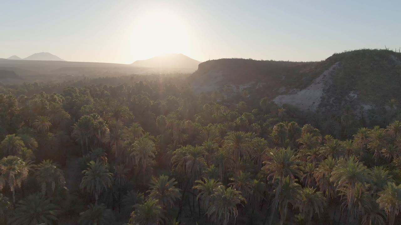 Sunset over palms and dry hills in a desert oasis landscape.