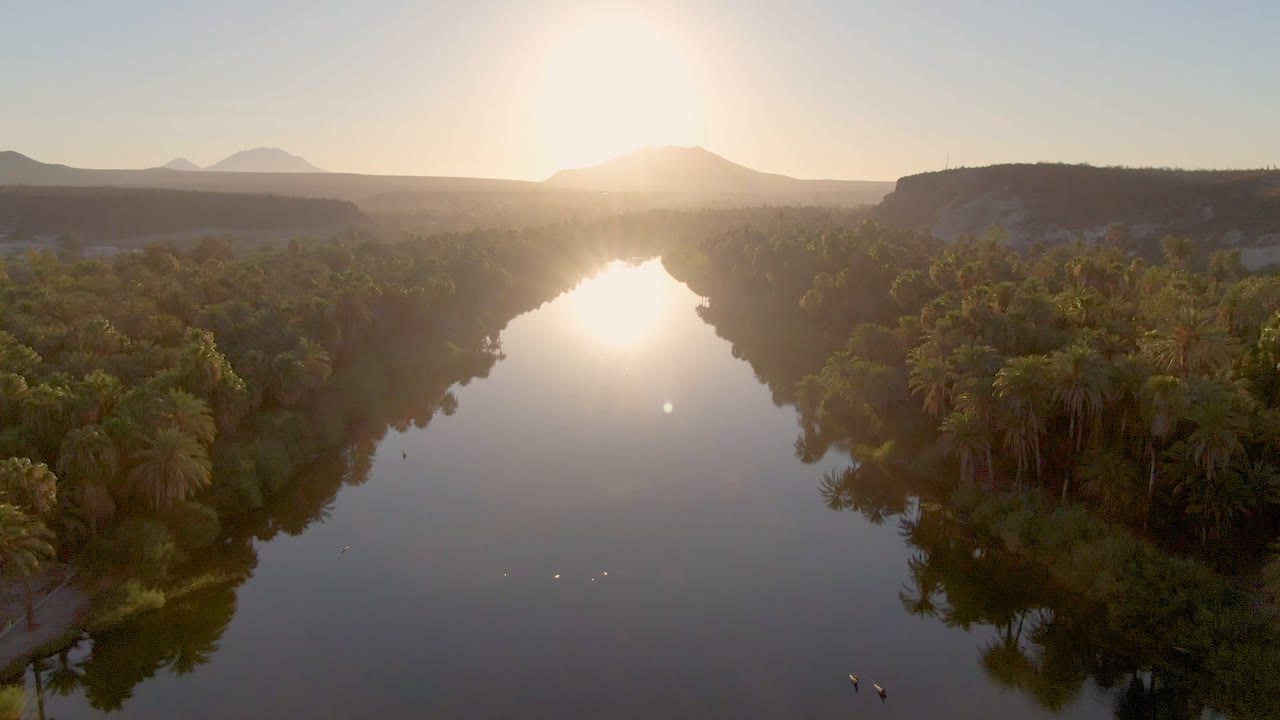Aerial frame in San Ignacio, Baja California Sur, showing the sun reflected on still river water, dense palms to the right bank, darker trees to the left, distant ridges, and no visible people.