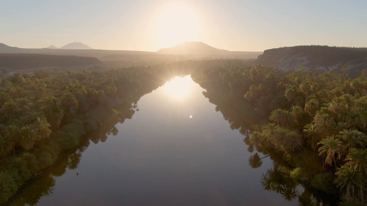 Aerial view over reflective water in San Ignacio, Baja California Sur, with palms on both banks, distant mountains, bright low sun, and no visible people.