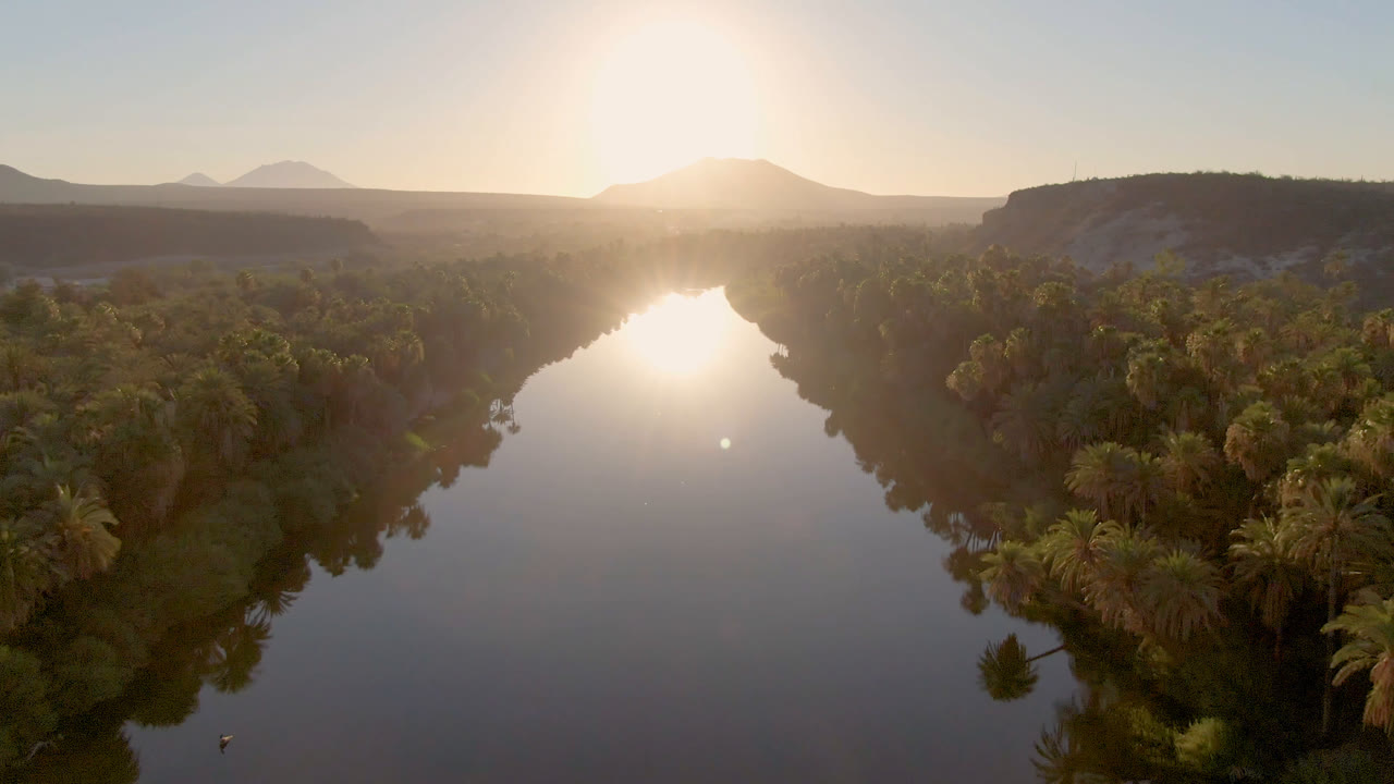 Second aerial frame over San Ignacio water with denser palm canopy on the right bank, dark reflections, distant hills, sun glare, and no visible people.