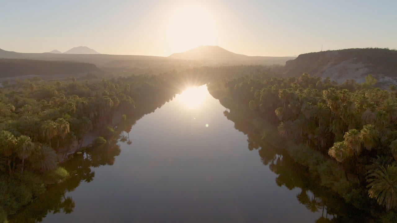 Aerial view of a reflective river lined with dense palms and trees in San Ignacio, Baja California Sur, Mexico, with mountains on the horizon and no visible people.
