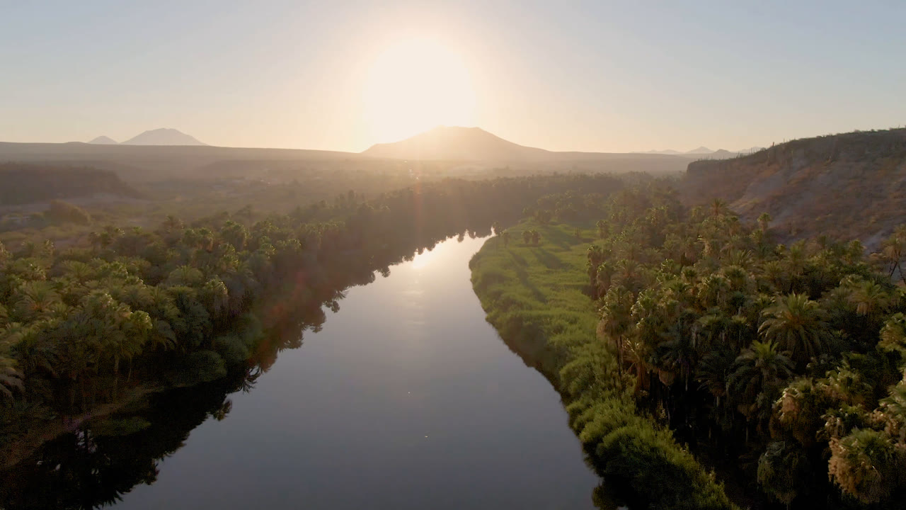 River and palm oasis seen from above with bright sun glare near the mountain horizon.