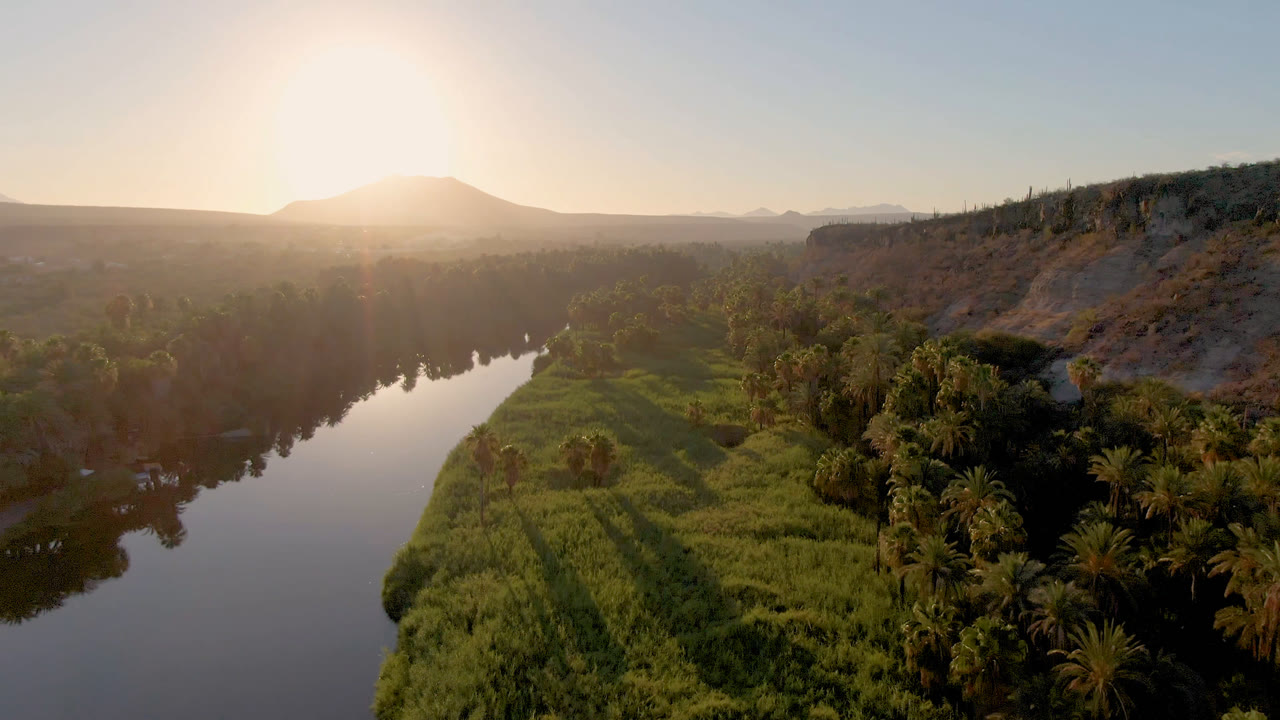 The San Ignacio river reflects the bright sky while dense green vegetation and palm trees fill the center foreground, with a ridge and no visible people.