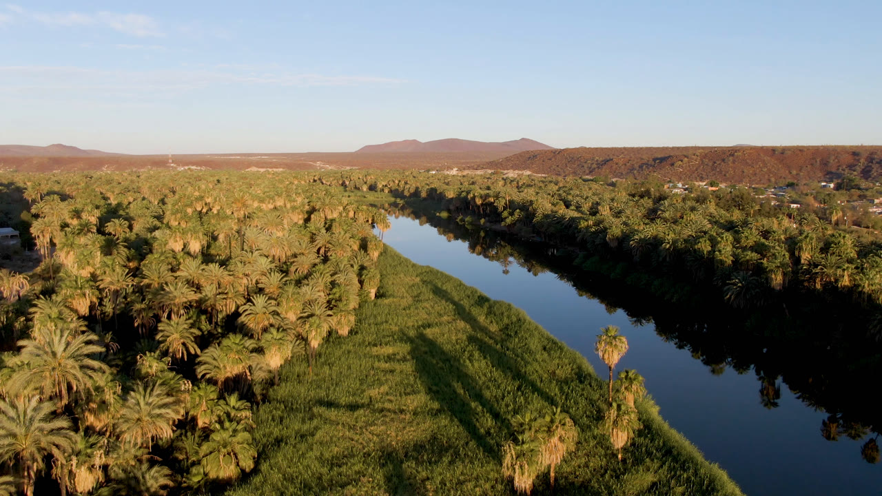 Opening aerial frame over San Ignacio, Baja California Sur, showing a dark river beside dense palms, green grasses, low desert hills, blue sky, and no visible people.
