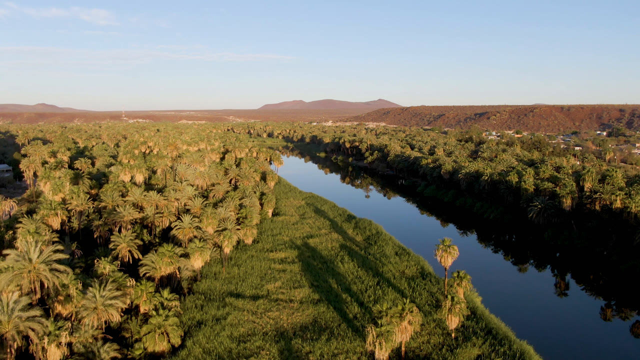 Aerial view one second into the San Ignacio clip, with the river running diagonally through palm forest, long shadows across green vegetation, distant buildings, hills, and no visible people.
