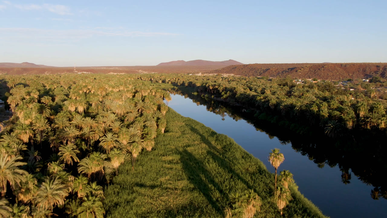 Palm-lined water channel with green oasis vegetation and dry hills beyond.