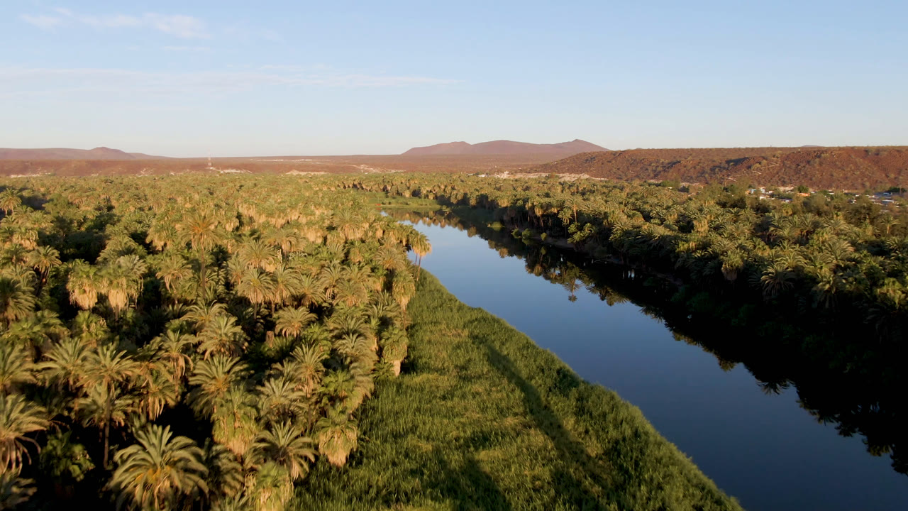 Aerial view in San Ignacio, Baja California Sur, with a dark reflective river running between dense palms, green reeds, distant desert hills, and no visible people.