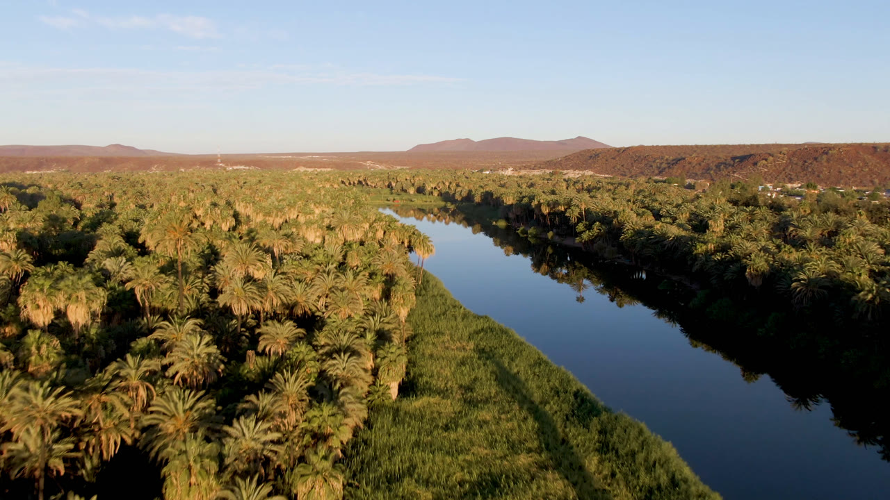 San Ignacio aerial frame showing the river slightly farther along its palm-lined bank, with warm light on the canopy, green reed beds, low hills, and no visible people.