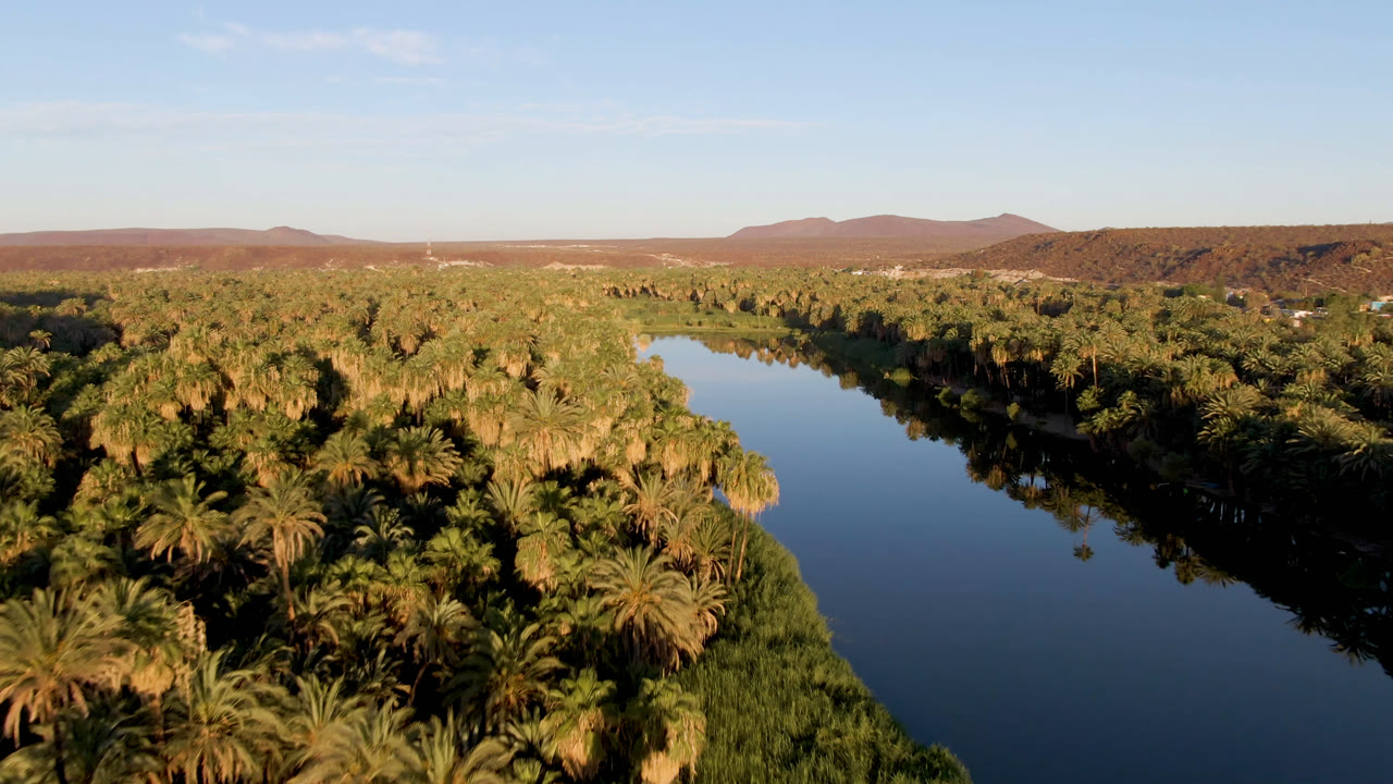 At 0:00, an aerial view in San Ignacio, Baja California Sur, Mexico shows a dark river bordered by dense palms, desert hills on the horizon, and no visible people.