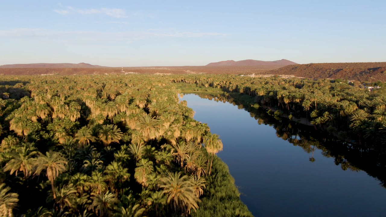 At 0:01, the river fills the left side of the frame while sunlit palms and reeds form a thick green bank in San Ignacio, with no visible people.