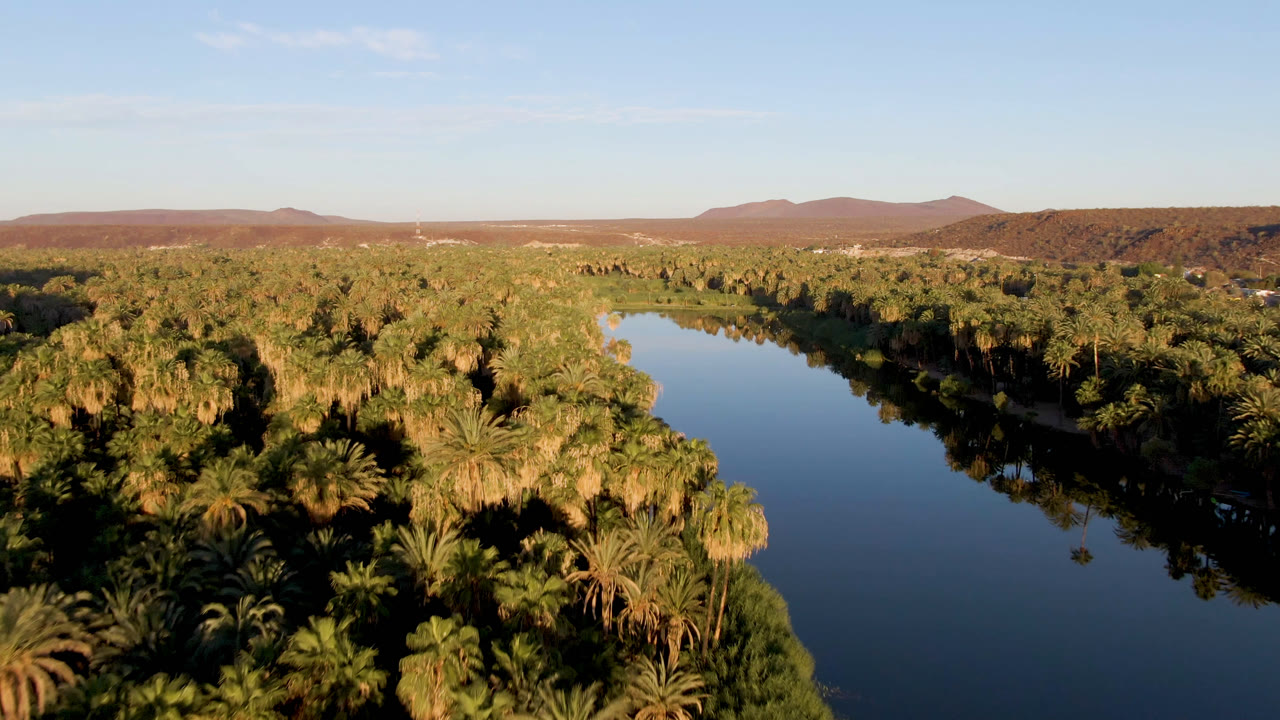 Wide aerial river bend bordered by palms and distant hills.