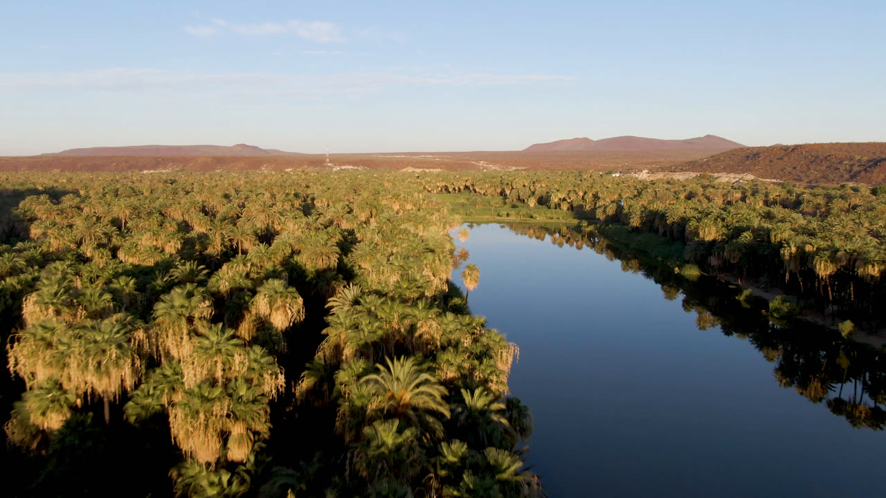 Aerial view in San Ignacio, Baja California Sur, with a dark reflective waterway cutting through dense palms, reddish hills on the horizon, and no visible people.