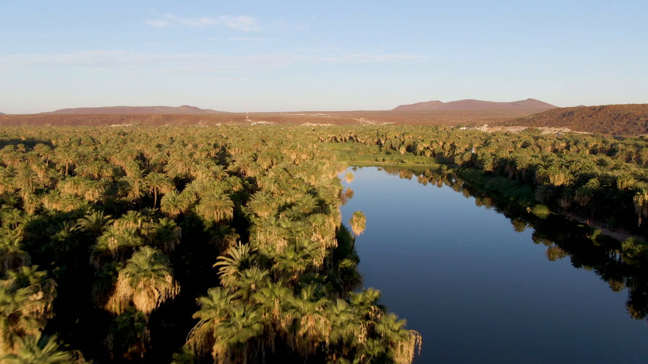 Palm-lined waterway with dark reflections and desert mountains in the distance.