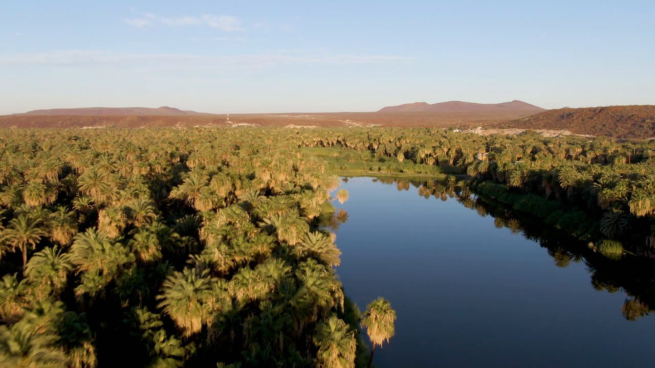 Aerial frame from San Ignacio, Baja California Sur showing a reflective river cutting through dense palms toward low desert hills, with no visible people.
