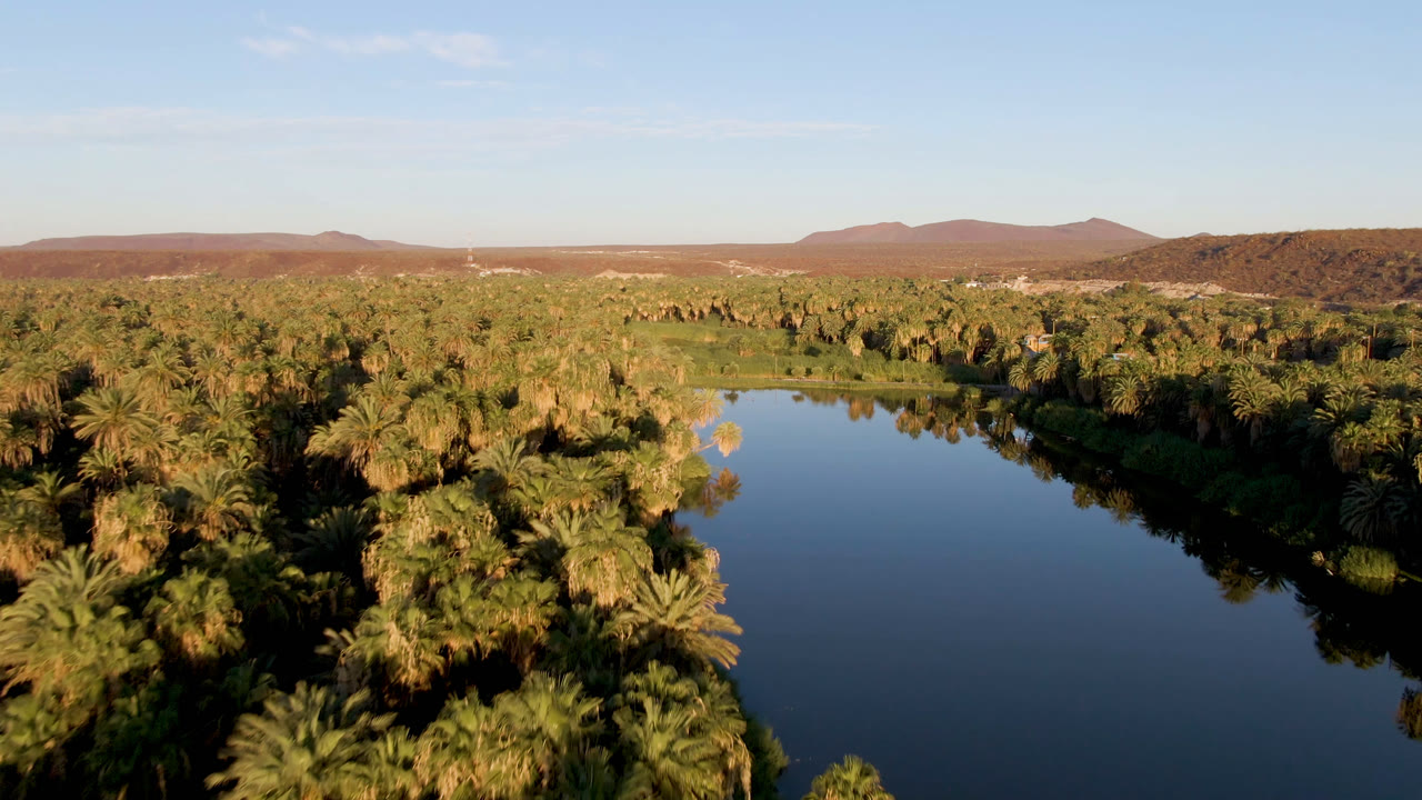 San Ignacio aerial view with still blue-black water in the foreground, thick palm canopy on both banks, and arid hills beyond, with no visible people.
