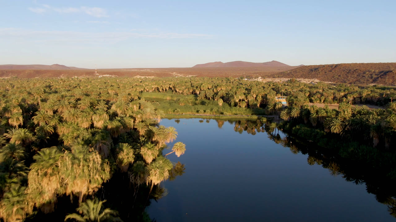 Palm-lined water and desert hills under a blue sky