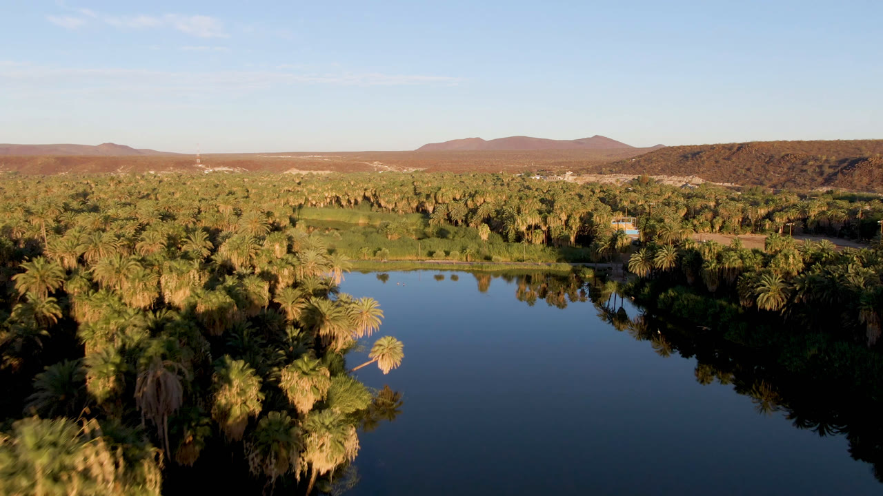 Elevated view of a calm river or lake edged by dense palms and scrub, with reddish low mountains on the horizon in San Ignacio, Baja California Sur, and no visible people.