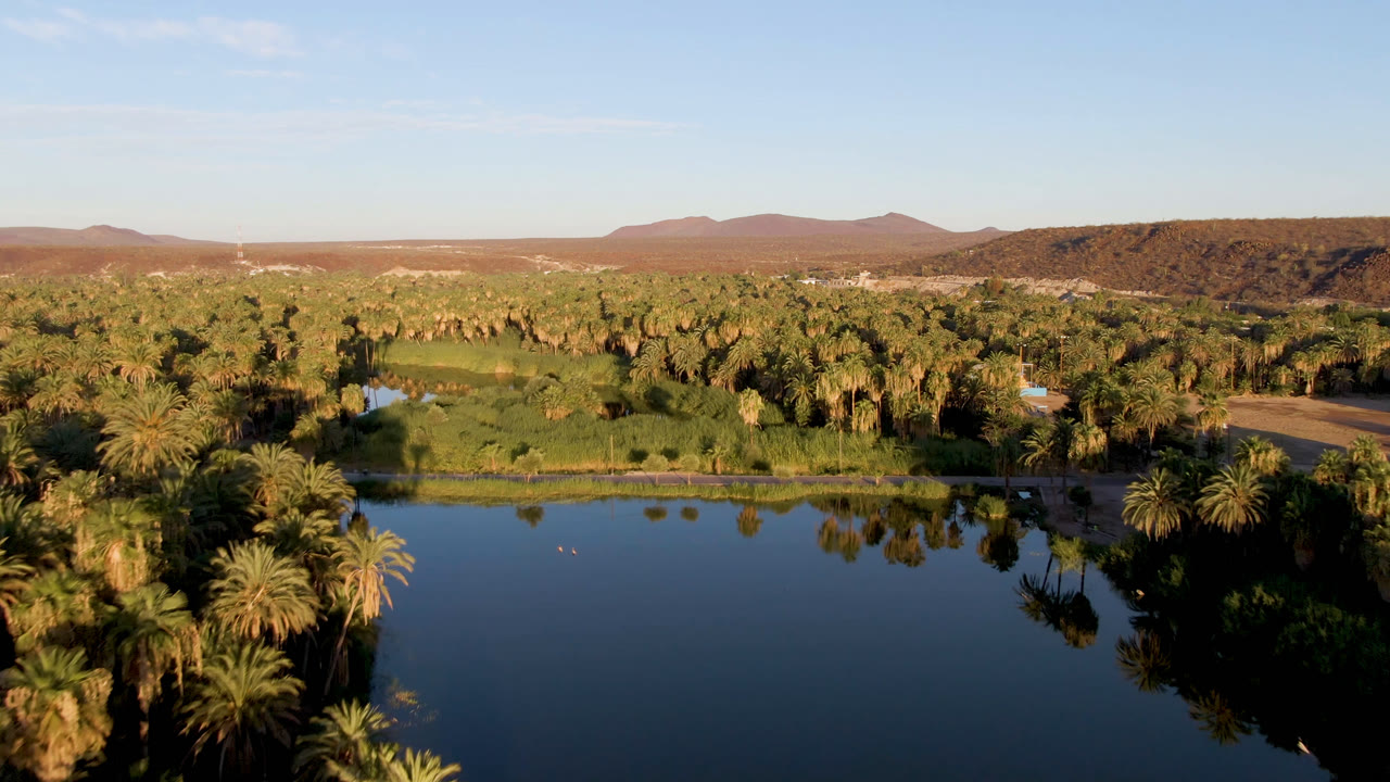 Aerial frame over San Ignacio, Baja California Sur, Mexico showing dark reflective water in the foreground, a dense palm oasis beyond it, distant dry hills, blue sky, and no visible people.