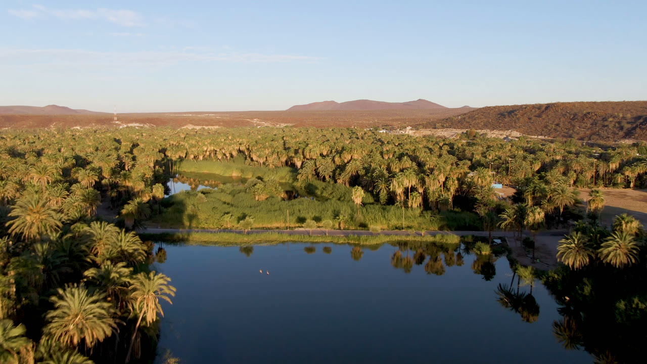 San Ignacio aerial view with still water across the lower frame, palm reflections near the shore, thick green vegetation in the middle distance, low brown hills, and no visible people.