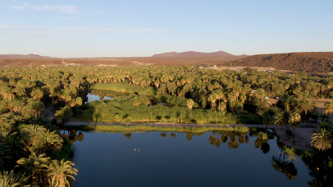 Wide oasis landscape with palm groves, water, hills, and open sky.