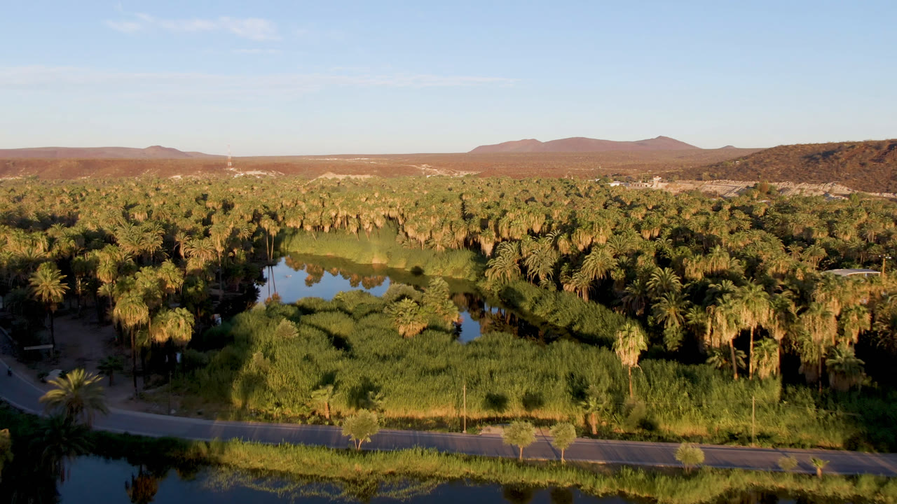Aerial frame over San Ignacio, Baja California Sur showing reflective river water, dense palms, a road at the lower edge, distant desert hills, and no visible people.