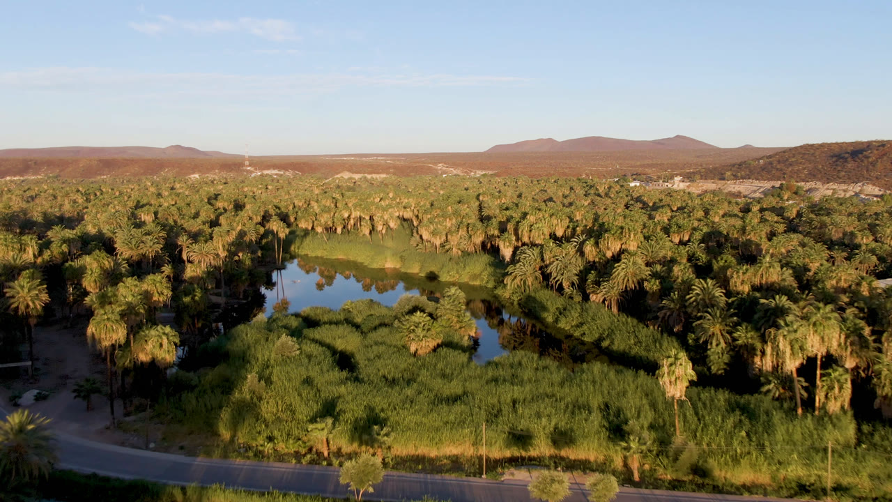 A wide San Ignacio aerial shows a reflective bend of water surrounded by palms and reeds, with low brown hills under a pale blue sky and no visible people.