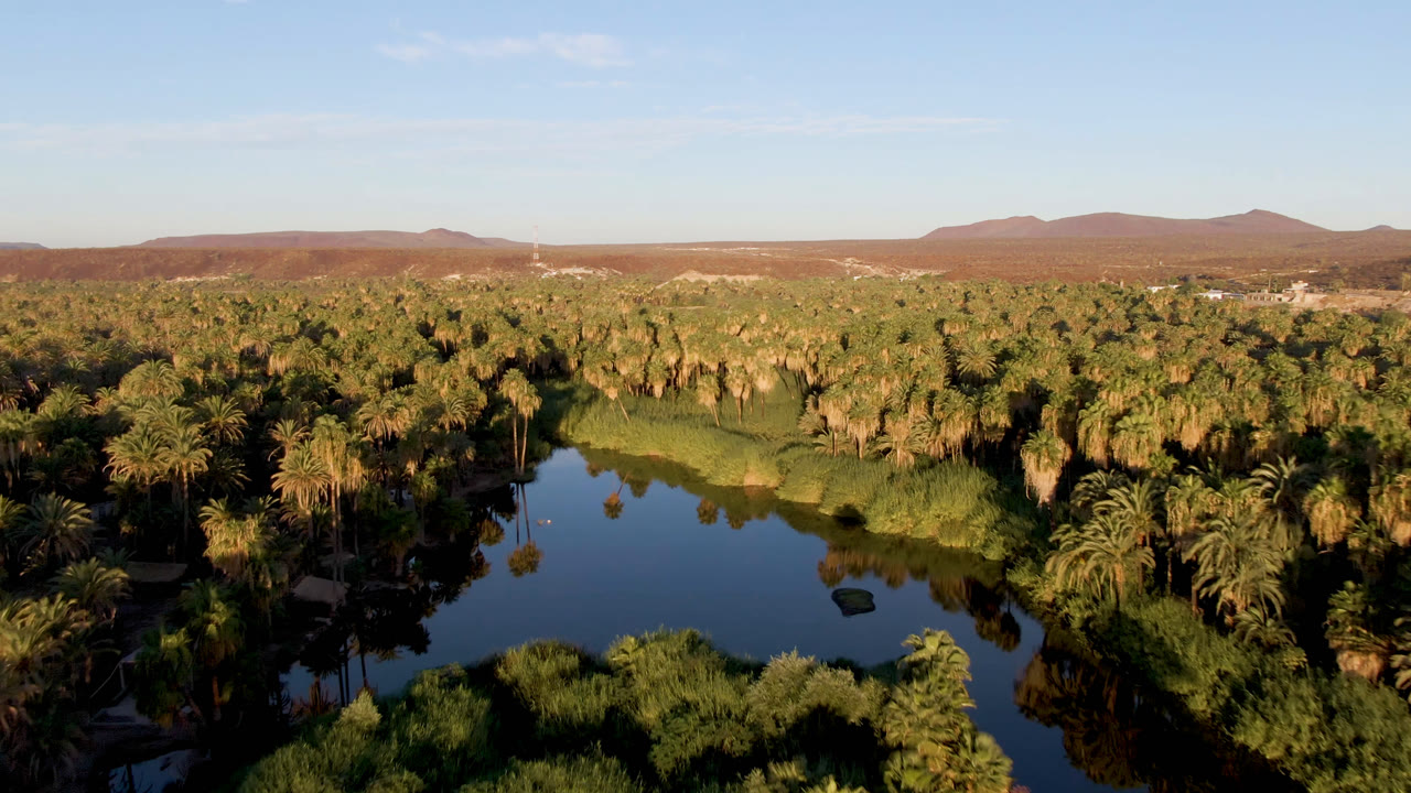 Aerial frame over San Ignacio, Baja California Sur, showing a dark river or lagoon bordered by palms and reeds, with low desert hills under a blue sky and no visible people.