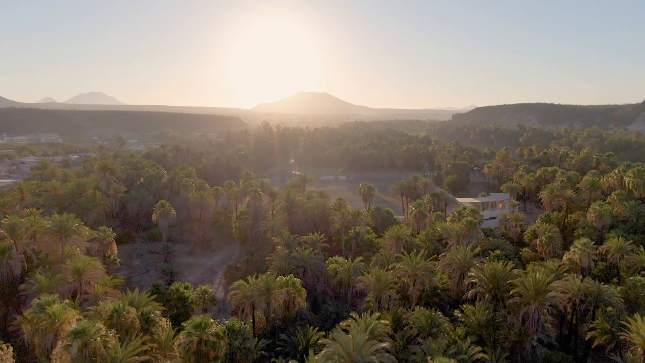 A high aerial frame in San Ignacio shows dense palms in the foreground, a small light-colored building near the center, hazy mountains, and no visible people.
