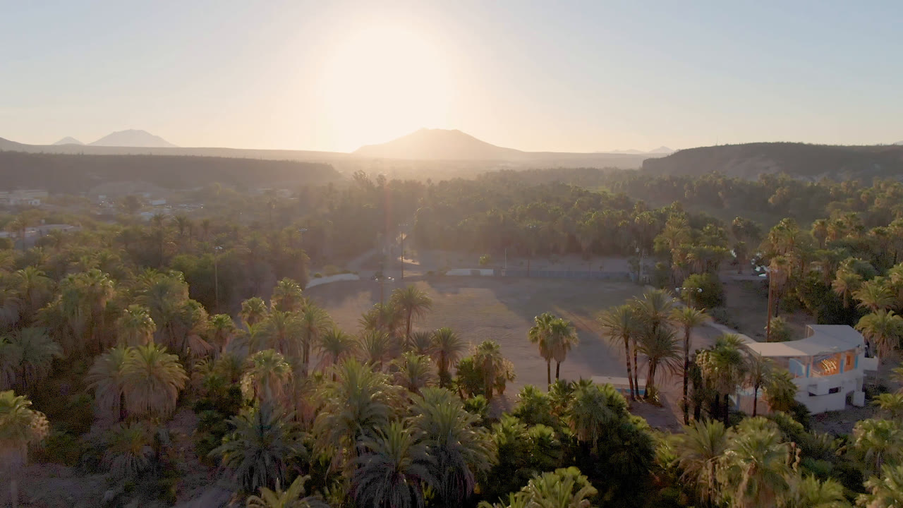 Opening aerial frame over San Ignacio, Baja California Sur, with palm trees, dry open ground, low buildings, distant mountains, bright sun glare, and no visible people.