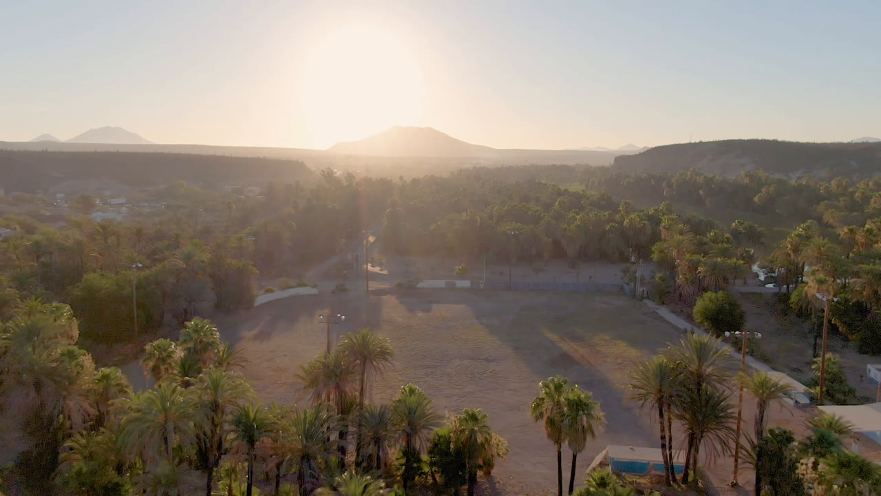 Backlit aerial view of palm grove, open field, scattered buildings, and mountains.