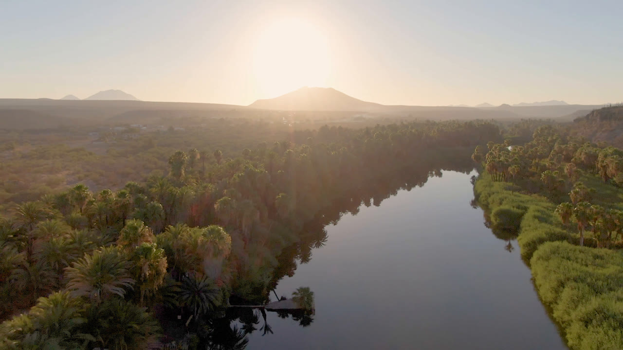 Aerial frame from San Ignacio, Baja California Sur showing a dark river edged by palms and reeds, distant desert mountains, bright low sun, and no visible people.