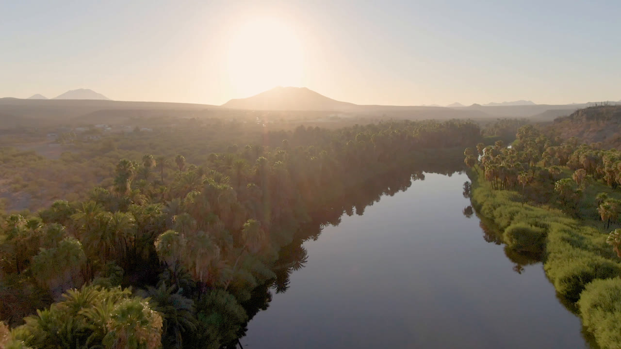 Backlit river and palm oasis seen from above at sunset-like light.