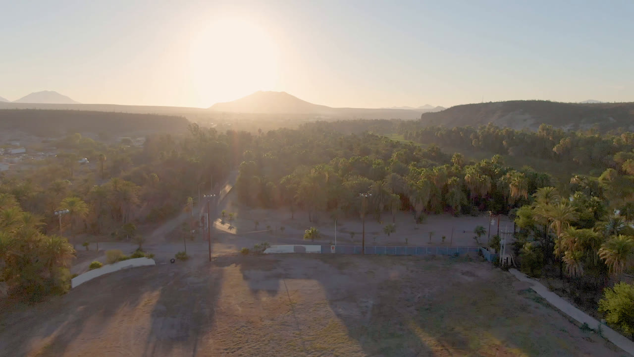 Aerial frame from San Ignacio, Baja California Sur, Mexico, showing a road, dry open ground, a palm cluster, distant hills, bright low sun, and no visible people.