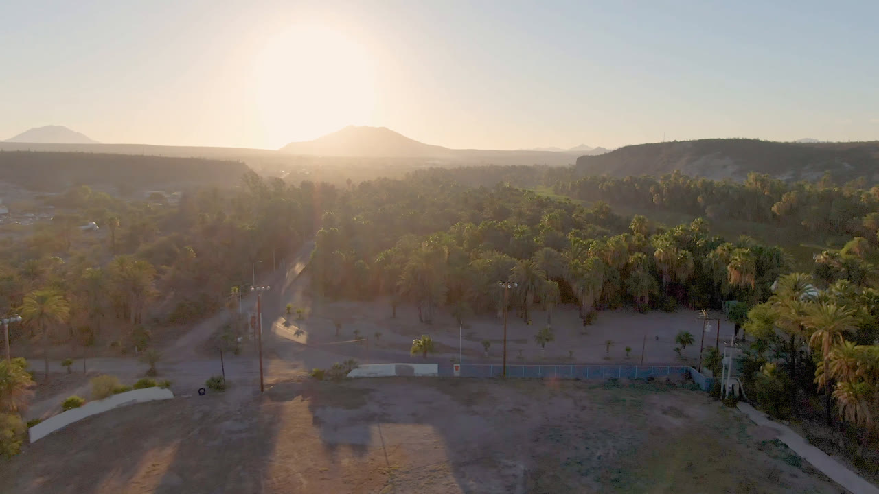 Aerial view in San Ignacio, Baja California Sur, Mexico, with the road angling through dry land, palms grouped at midframe, hazy mountains beyond, and no visible people.