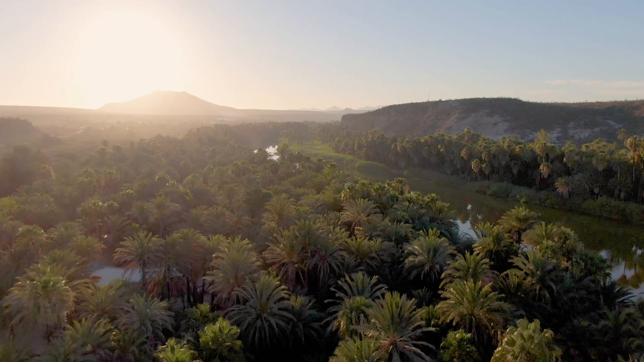 Second frame of the San Ignacio oasis shows the river bend more centrally between dense palms, with dry hills and a low mountain softened by bright sun haze, and no visible people.
