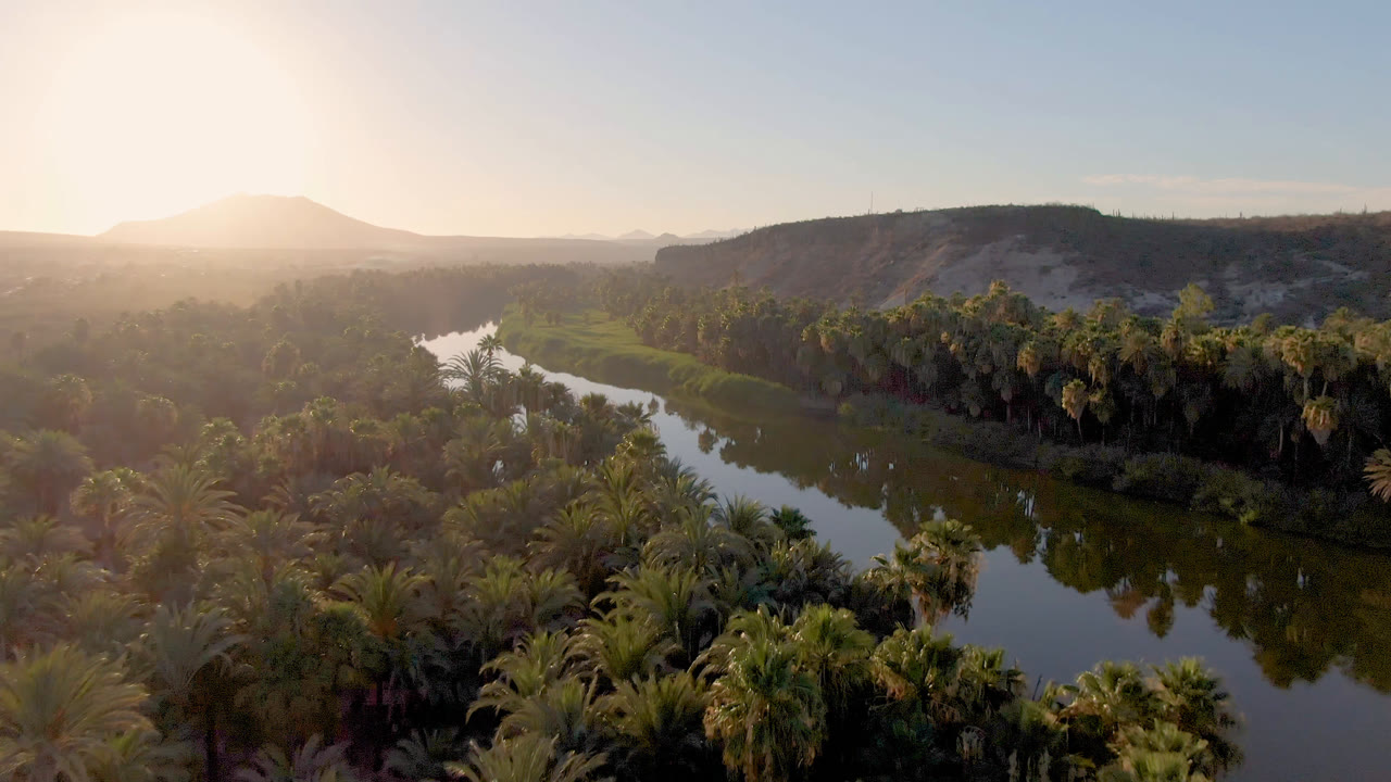 Aerial frame from San Ignacio, Baja California Sur, Mexico, showing a reflective river curving through dense palms, hazy hills, warm sun at upper left, and no visible people.