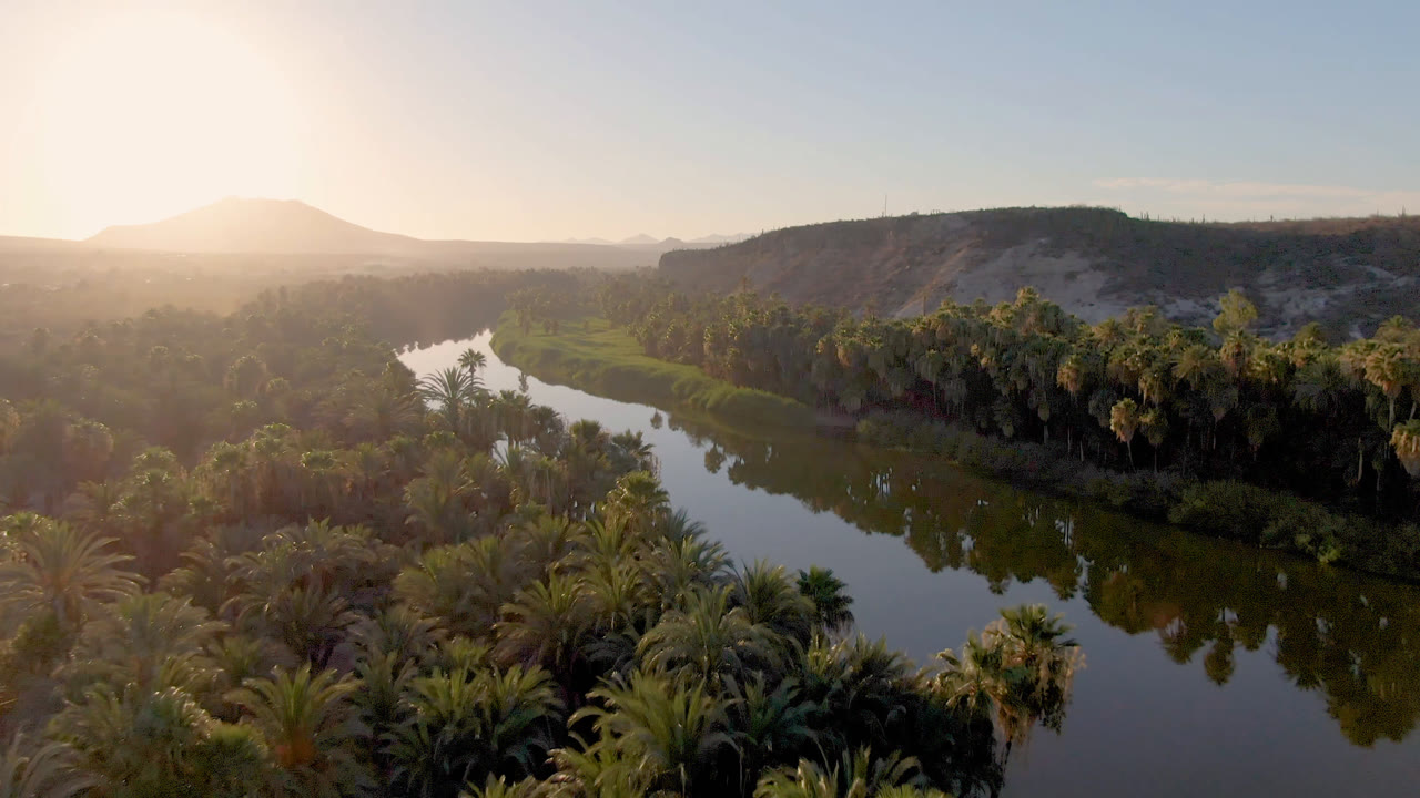 Aerial view in San Ignacio, Baja California Sur, Mexico, with the river running diagonally past palm groves, a bright sun haze on the left, distant hills on the horizon, and no visible people.